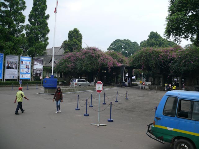 P1030353